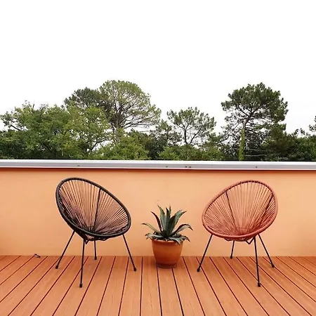 Design Roof Vue Panoramique Sur La Foret