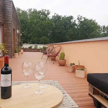Design Roof Vue Panoramique Sur La Foret